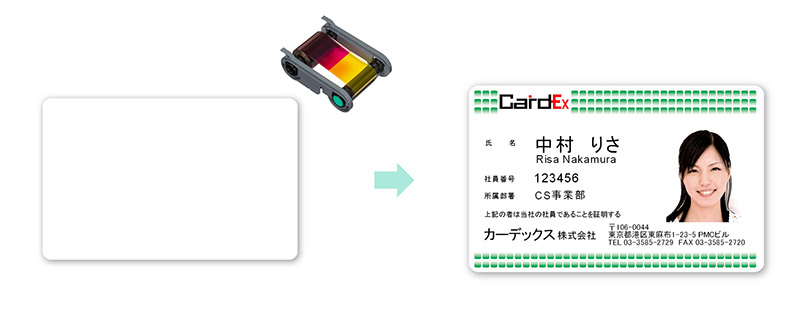 フルパネルリボン＋白無地カード
