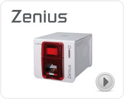 Zenius